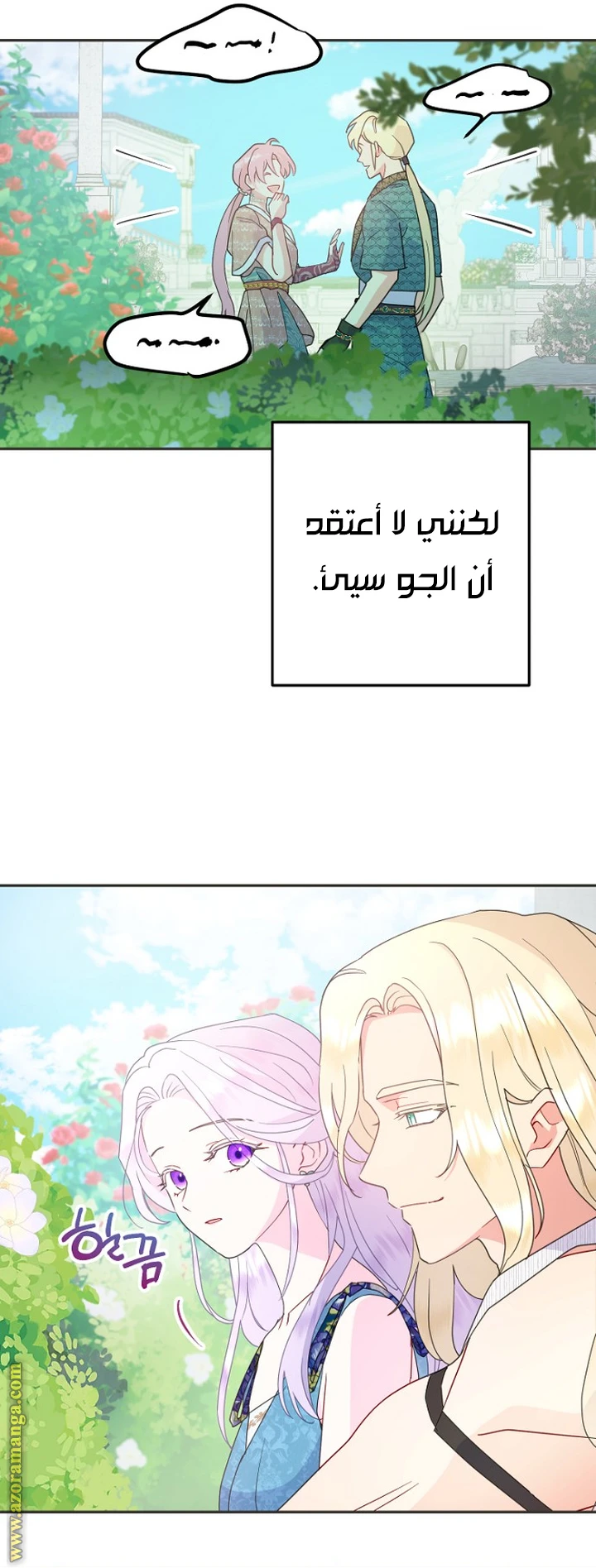 الصفحة 25