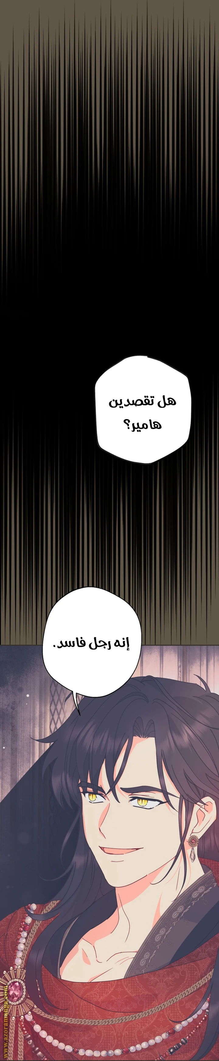 الصفحة 27