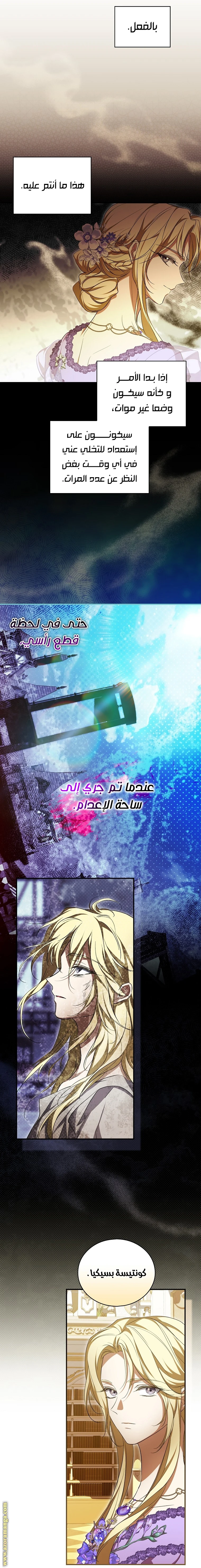 الصفحة 17