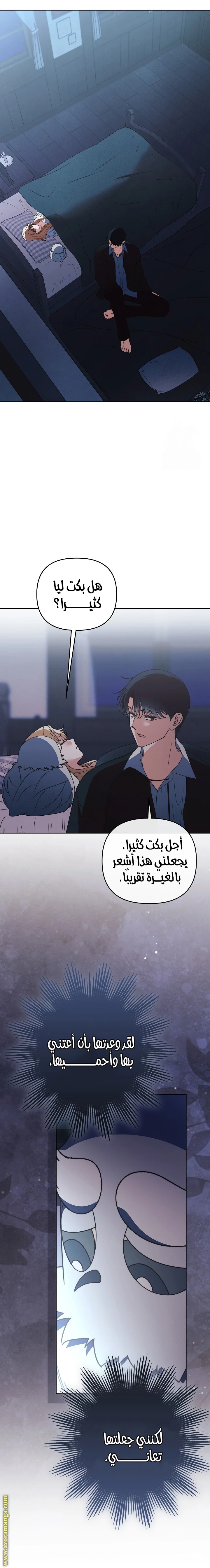 الصفحة 12