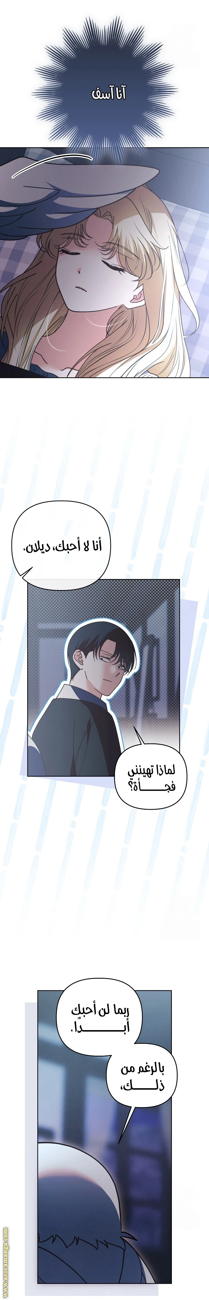 الصفحة 13