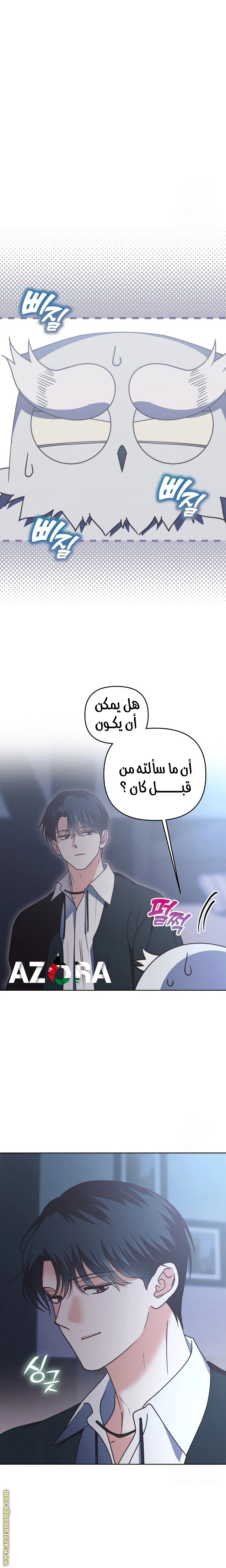 الصفحة 17