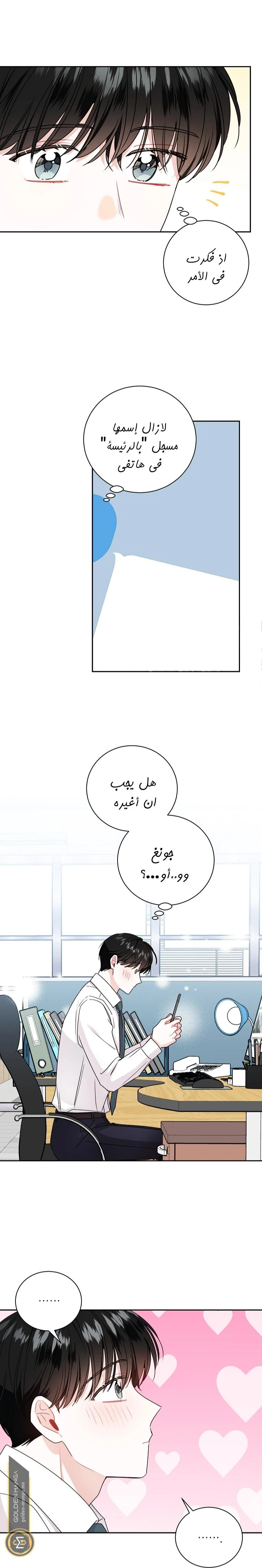 الصفحة 13
