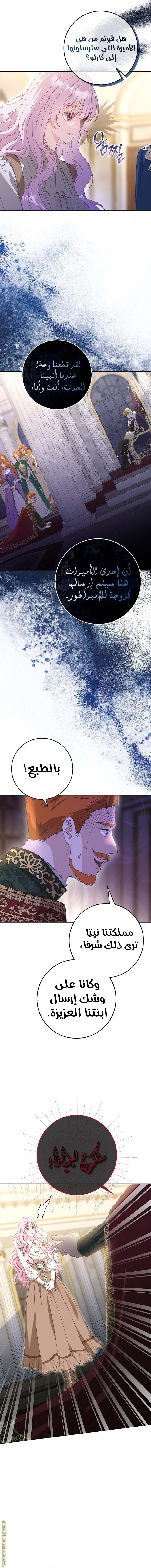 الصفحة 8