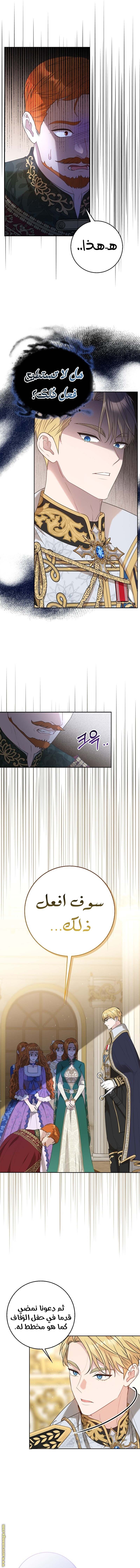 الصفحة 14