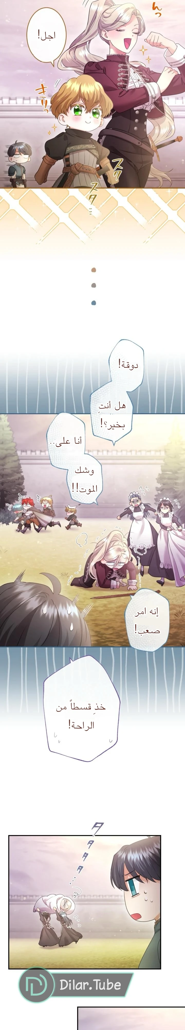 الصفحة 13