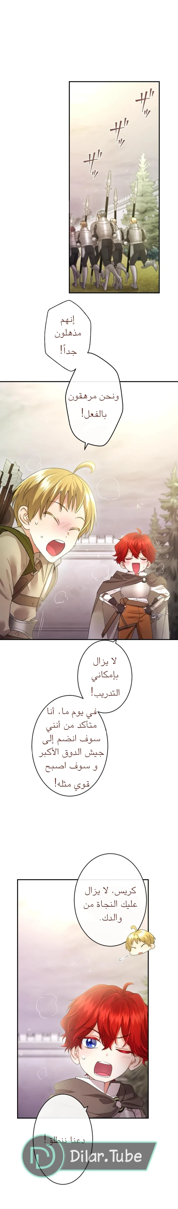 الصفحة 15