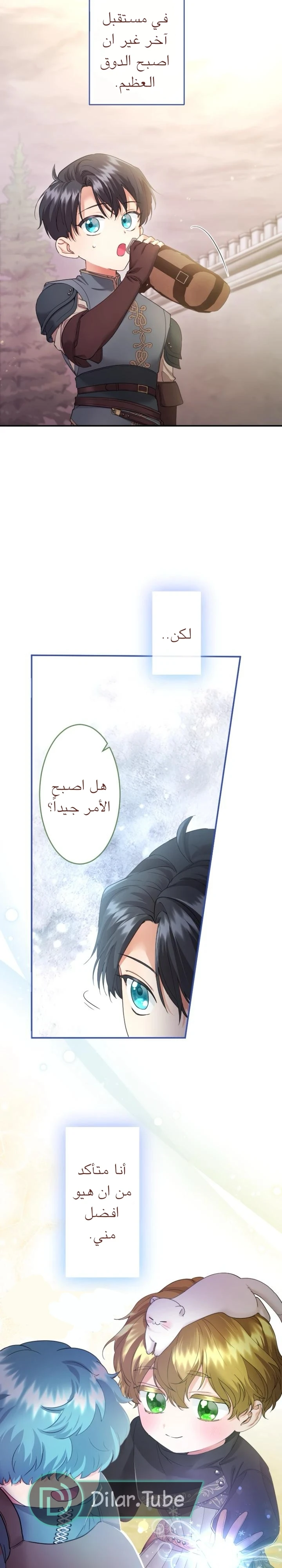 الصفحة 17