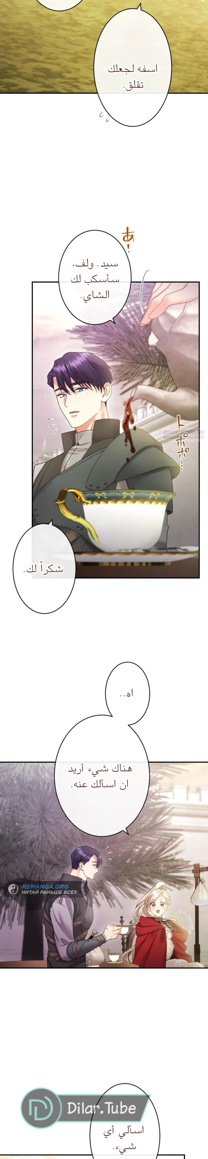 الصفحة 26