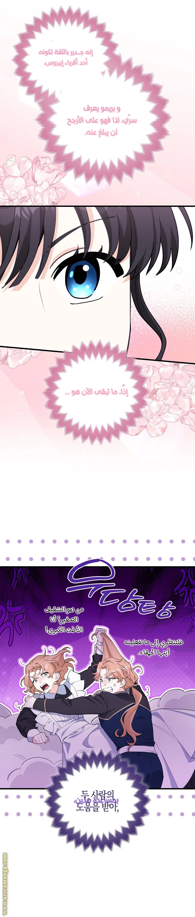 الصفحة 21