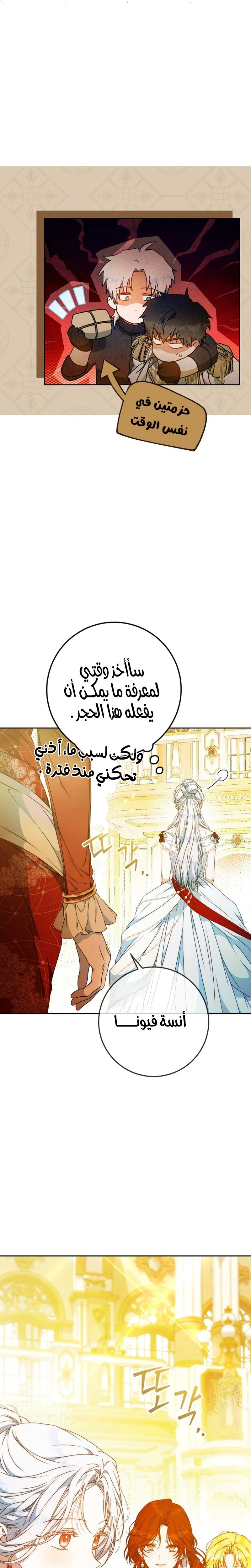 الصفحة 11