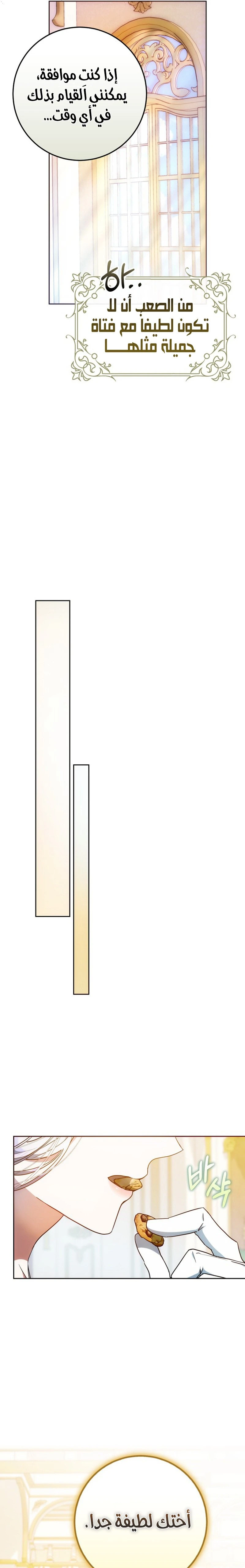 الصفحة 20