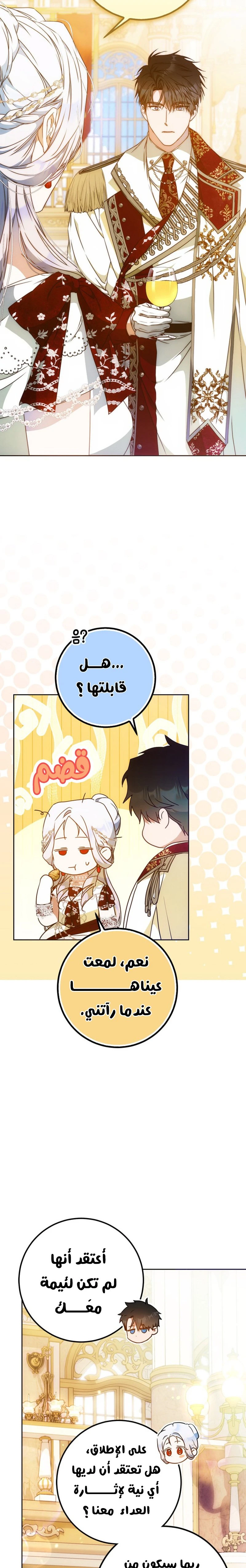 الصفحة 21