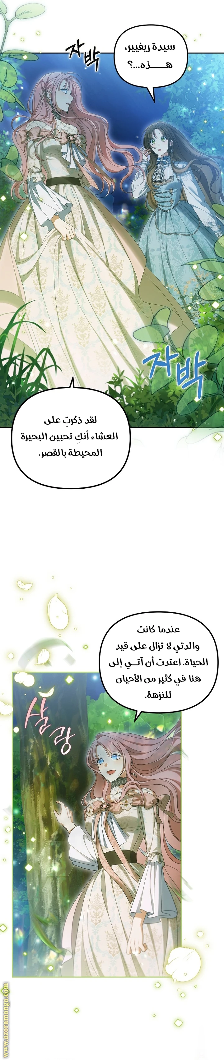الصفحة 13