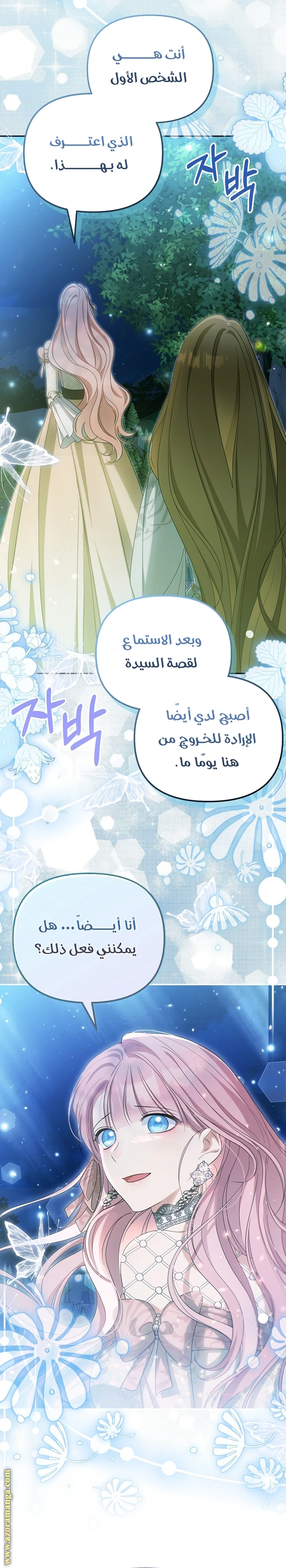 الصفحة 17