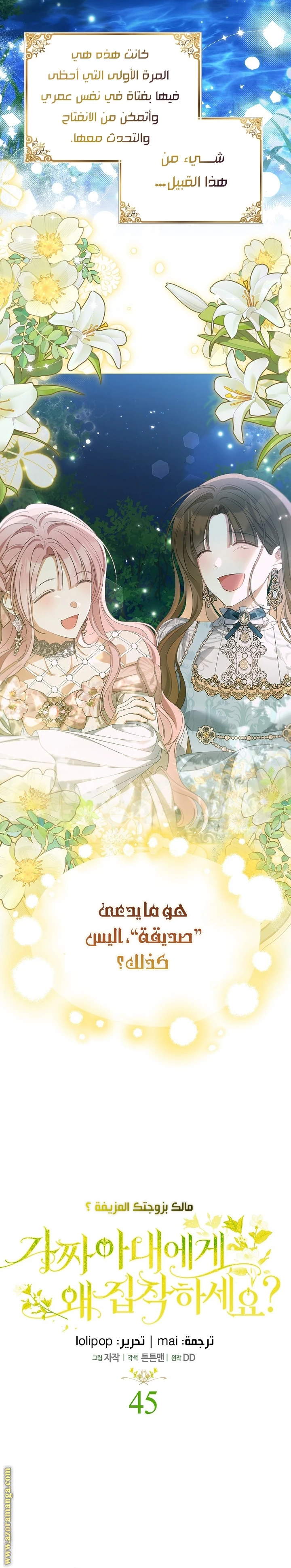 الصفحة 19