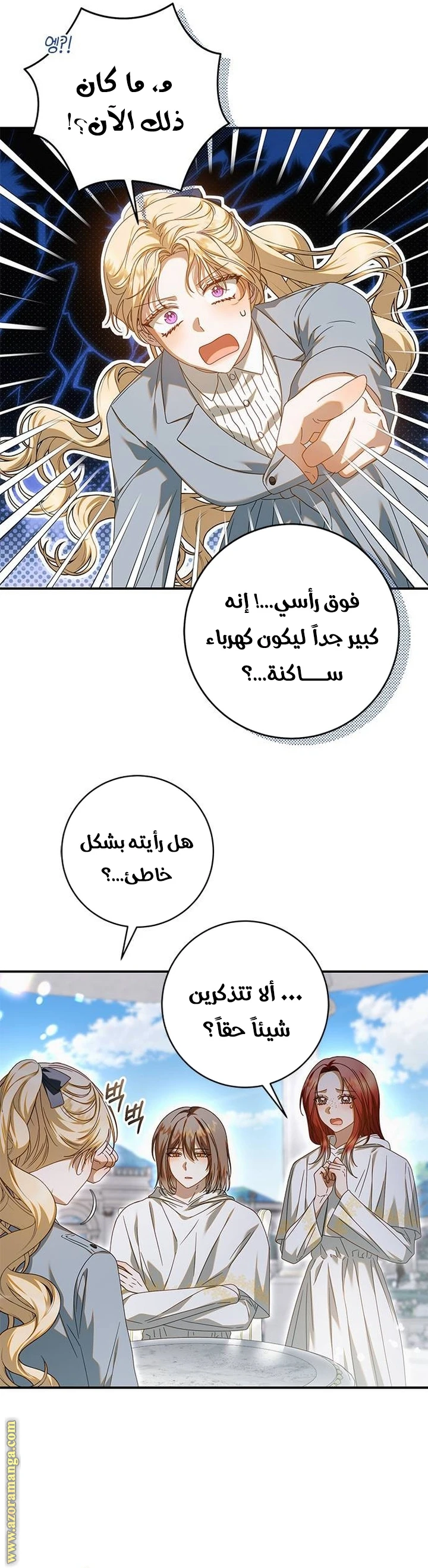 الصفحة 12