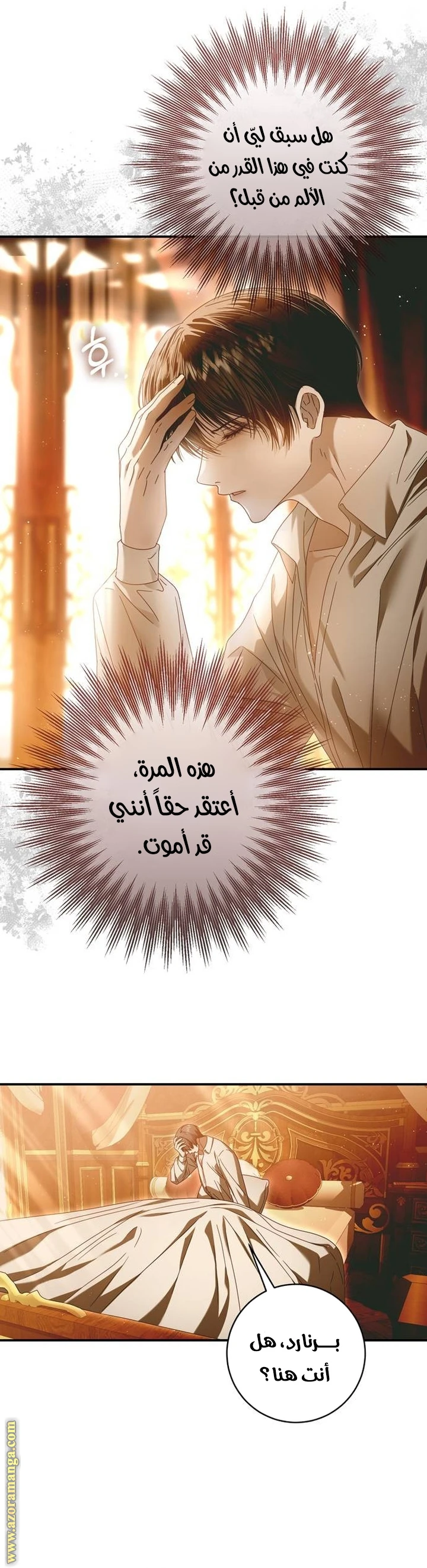 الصفحة 26