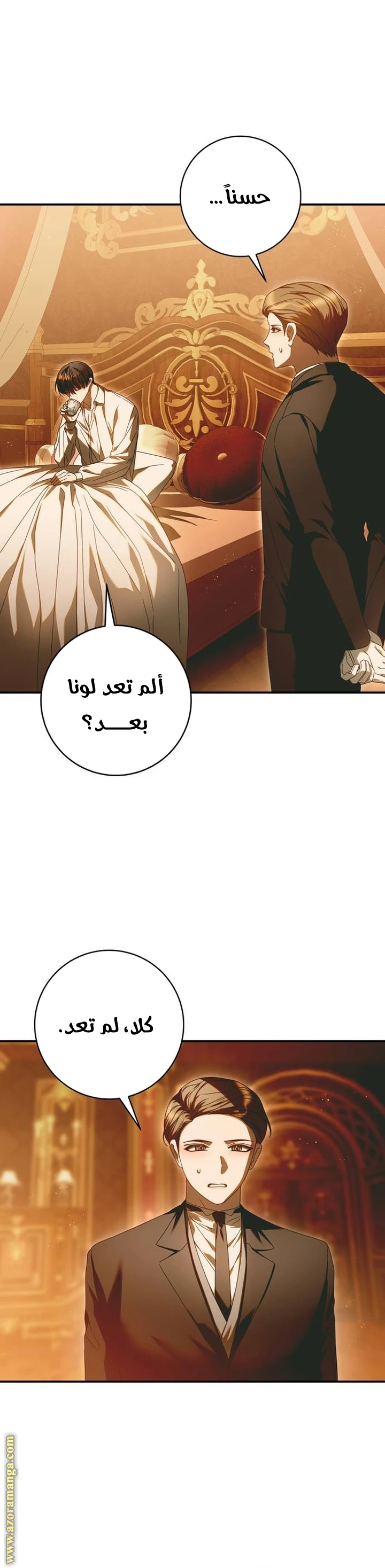 الصفحة 29
