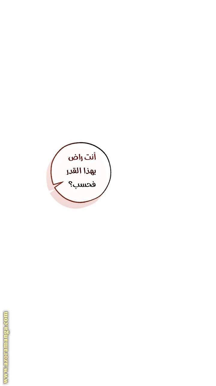 الصفحة 28