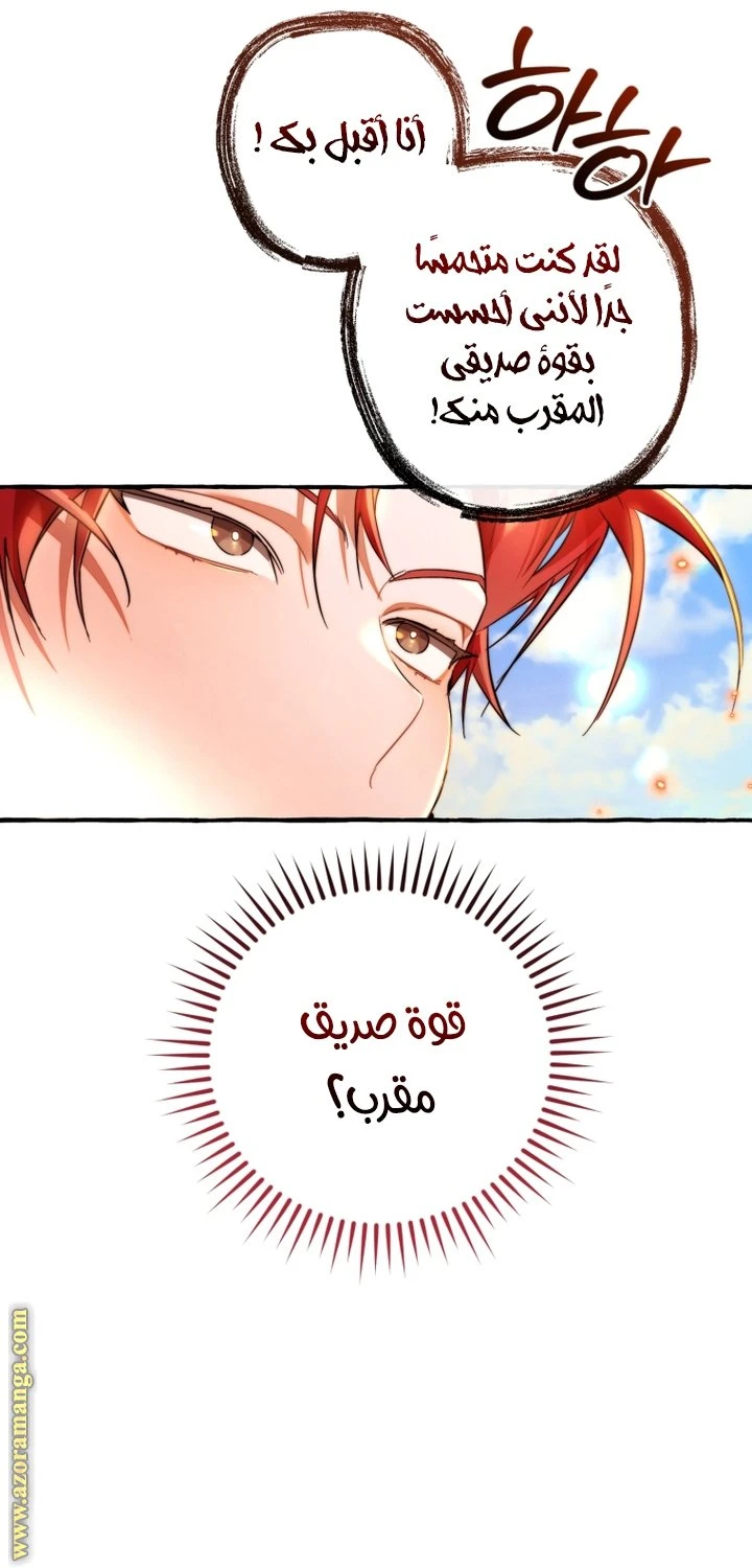 الصفحة 31