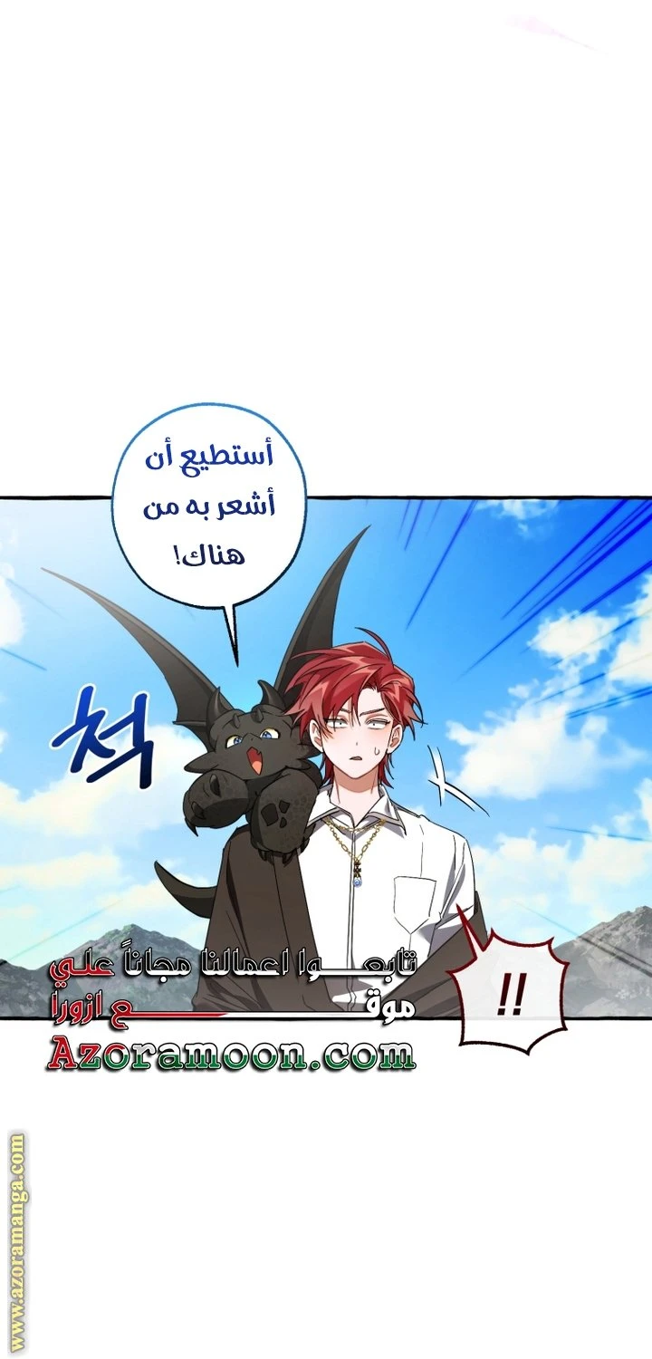 الصفحة 53