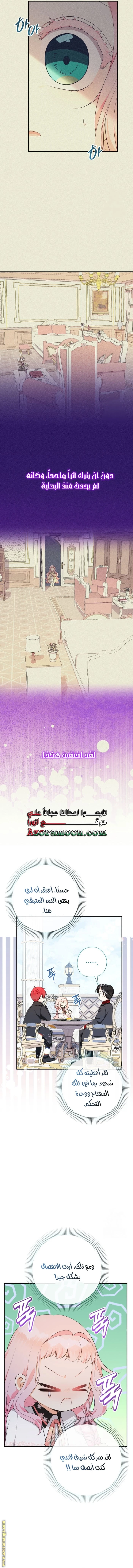 الصفحة 13