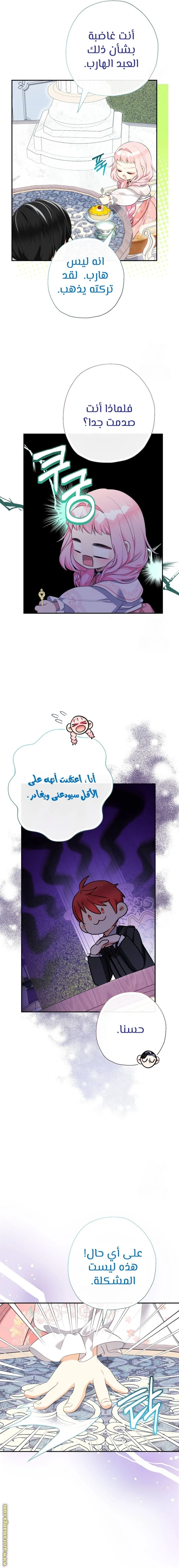 الصفحة 14