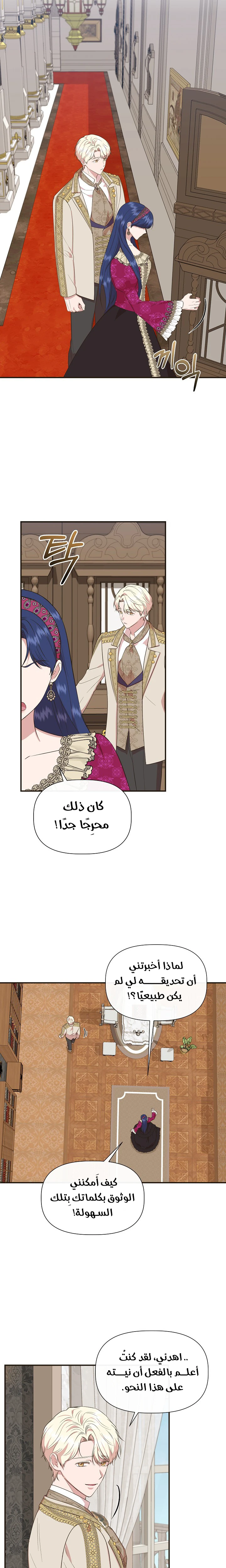 الصفحة 17