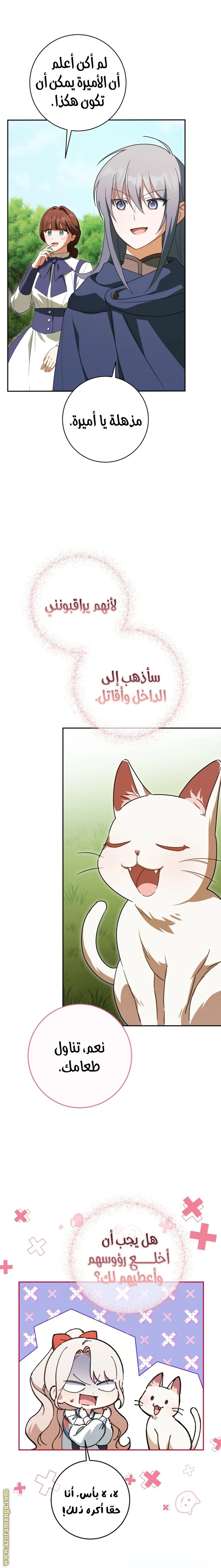 الصفحة 13