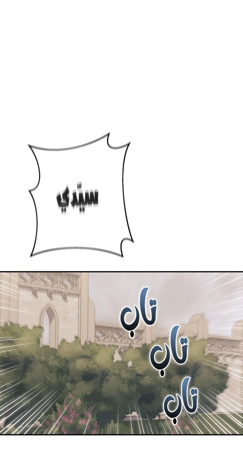 الصفحة 25