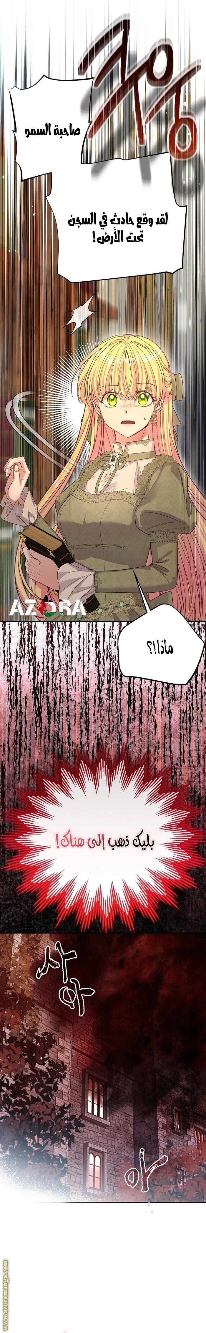 الصفحة 26