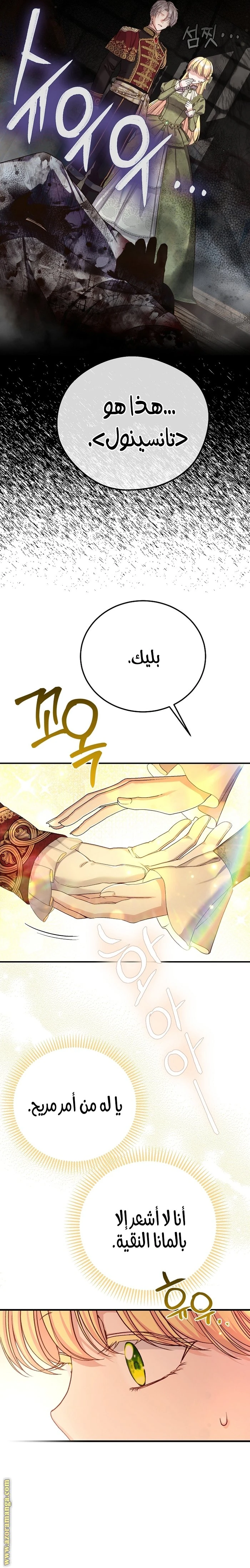 الصفحة 29