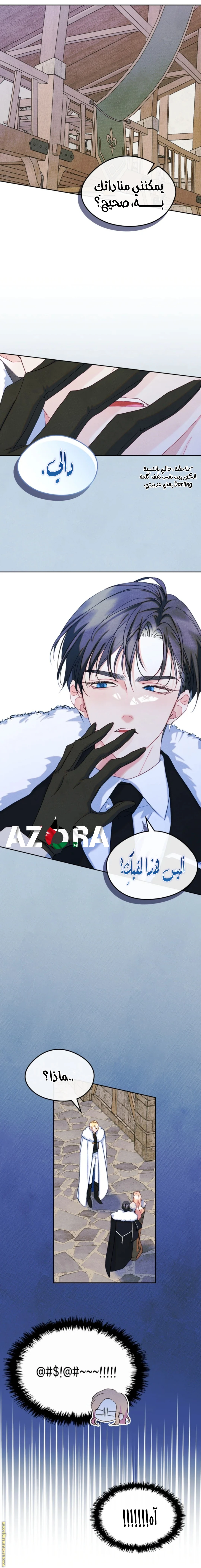 الصفحة 12