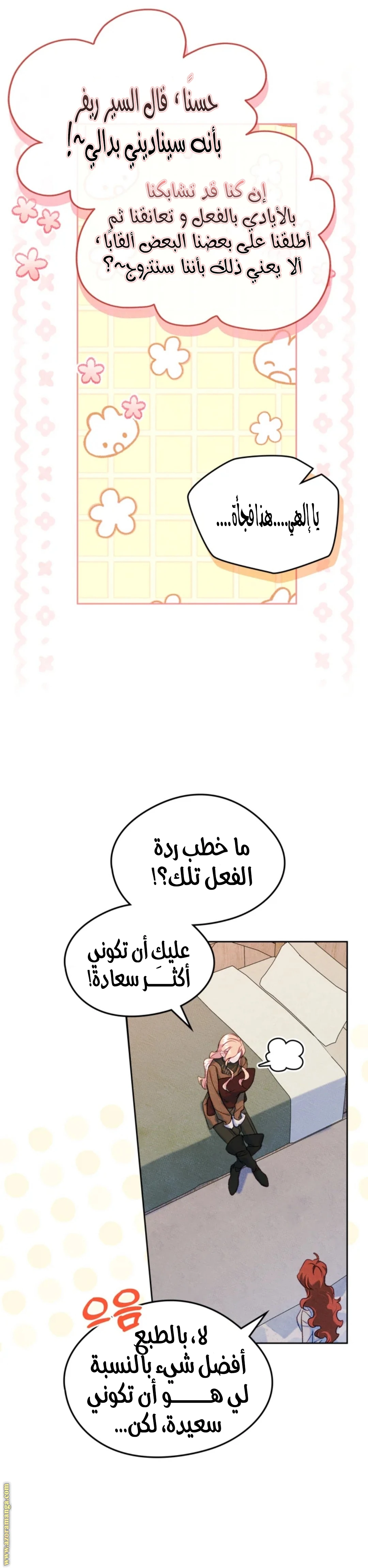 الصفحة 17