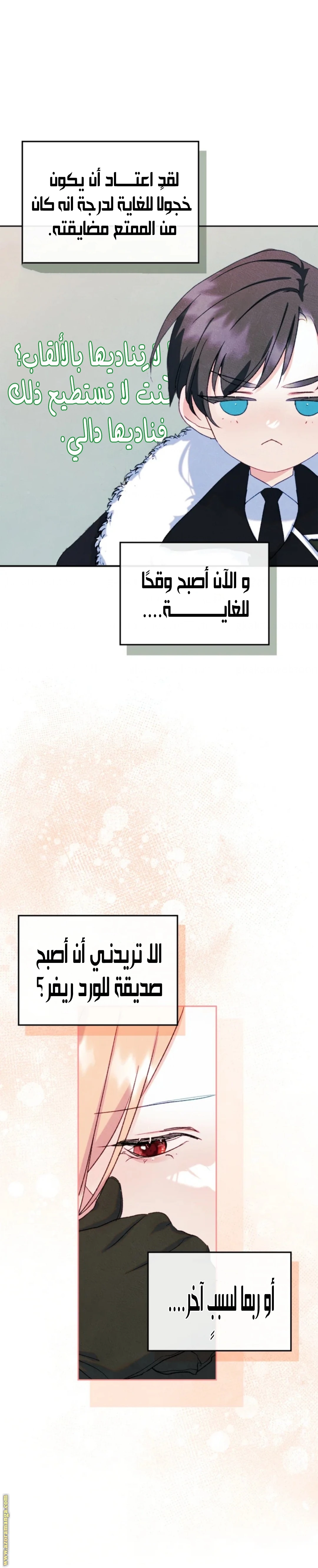 الصفحة 19