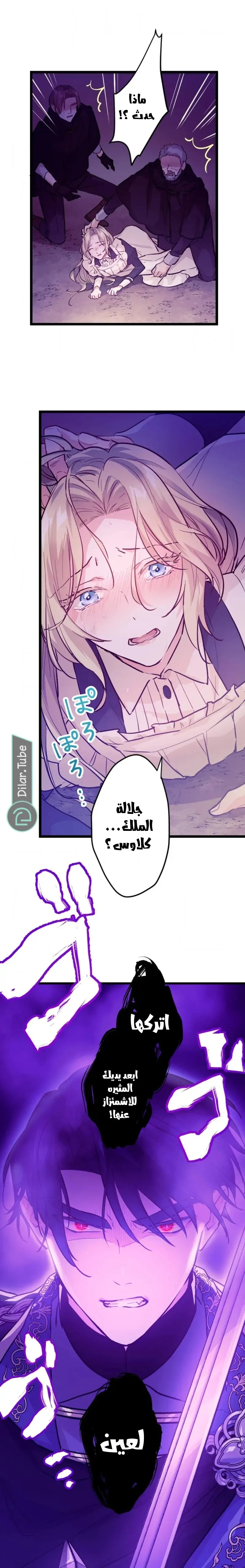 الصفحة 14