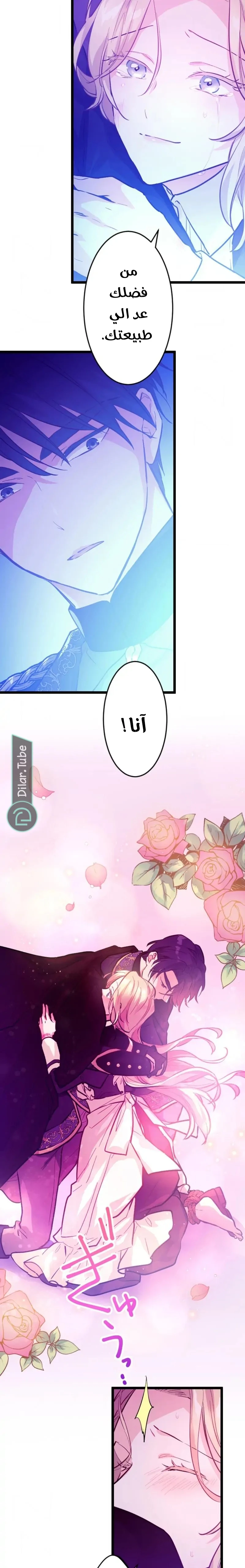 الصفحة 19
