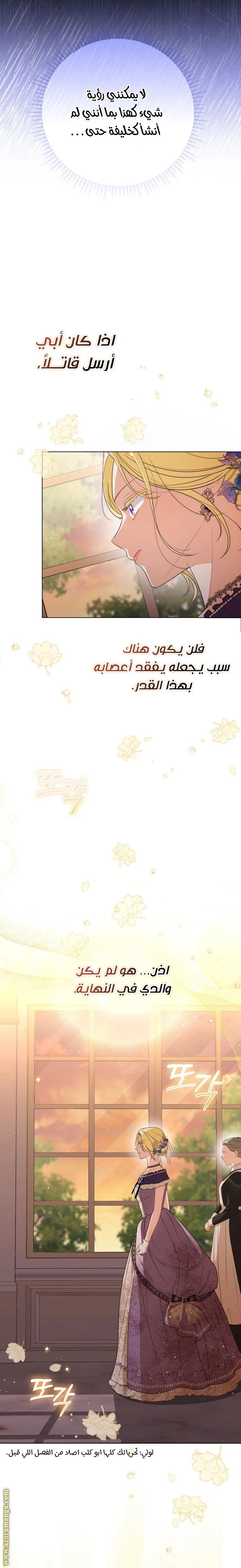 الصفحة 17
