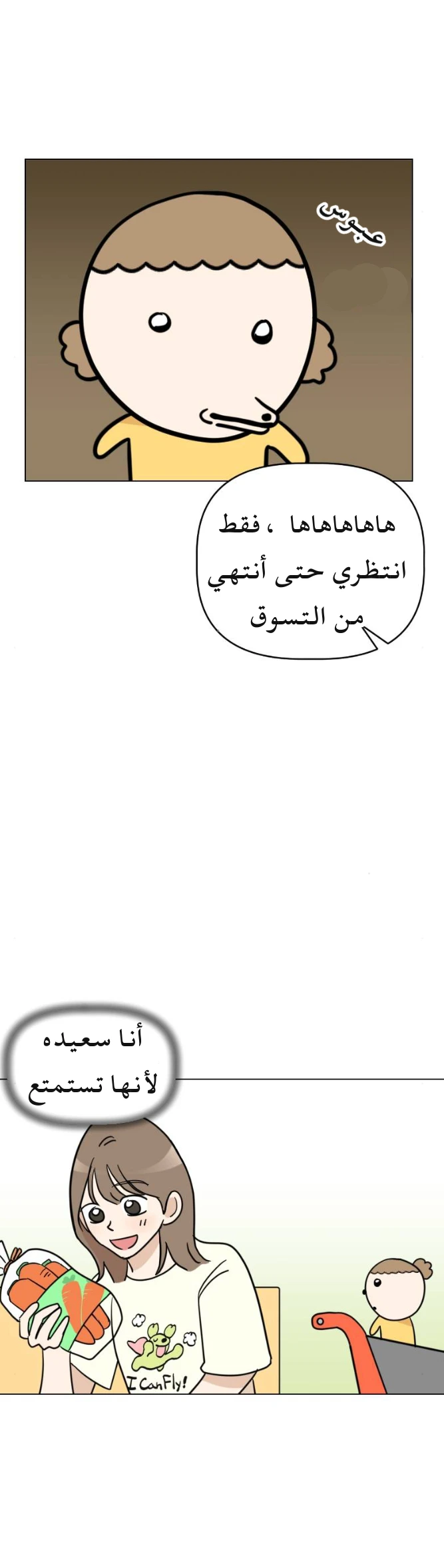 الصفحة 17