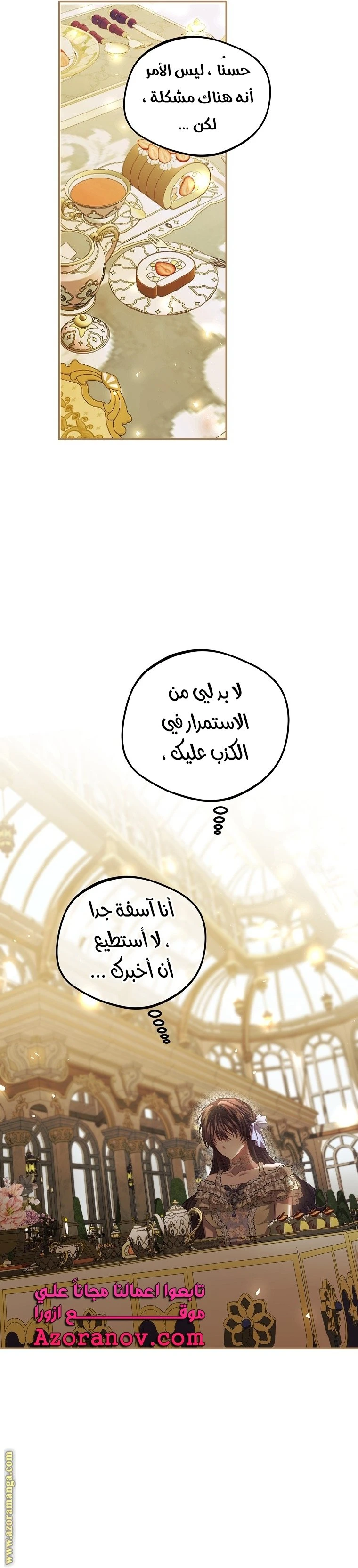 الصفحة 17