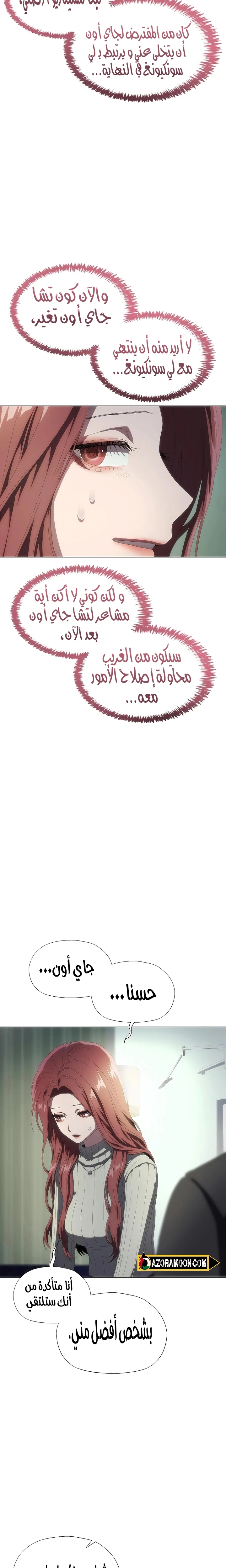 الصفحة 17