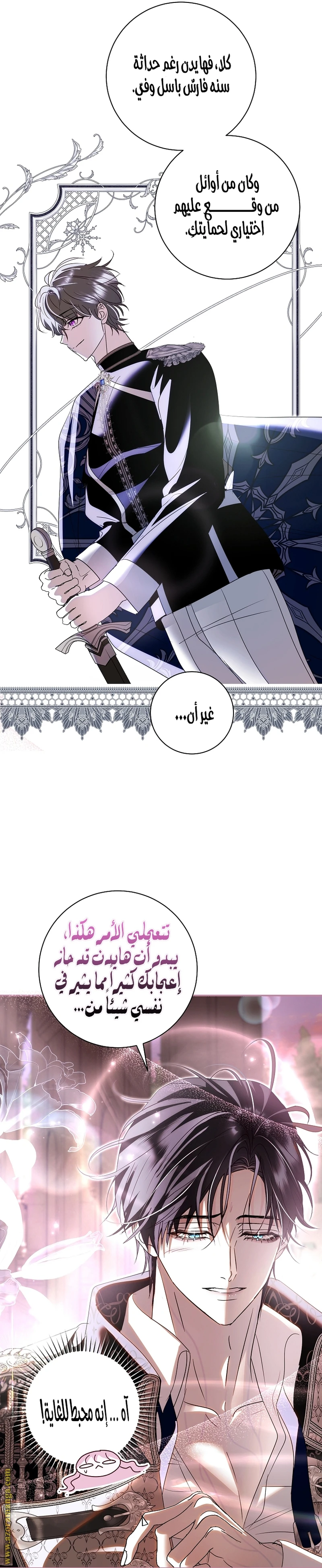 الصفحة 12