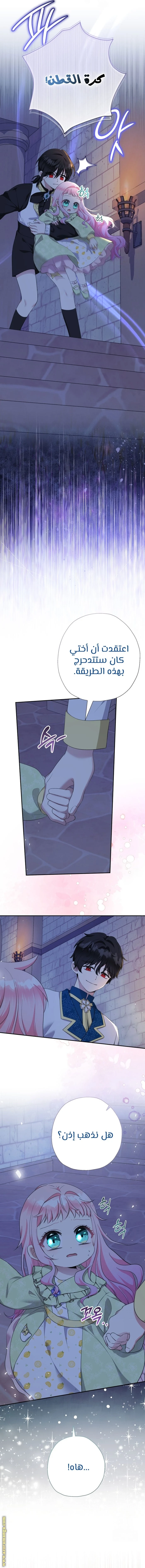 الصفحة 9