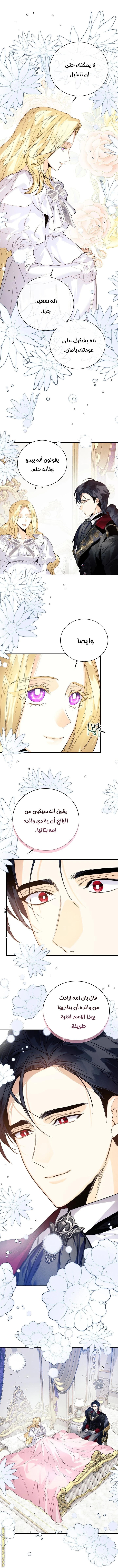 الصفحة 20