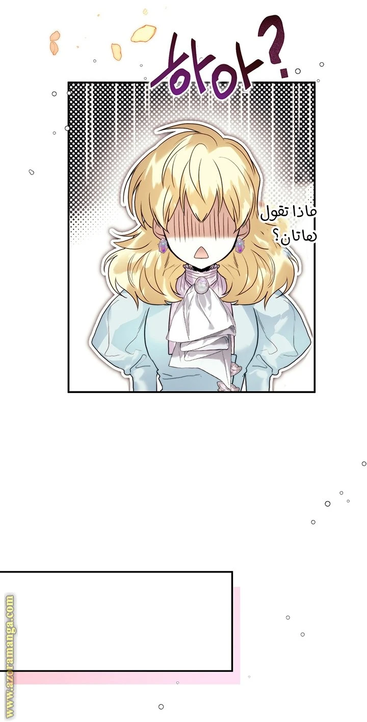 الصفحة 29