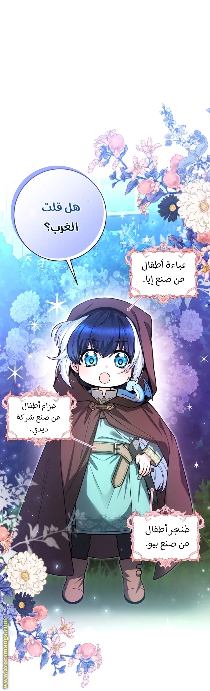 الصفحة 27