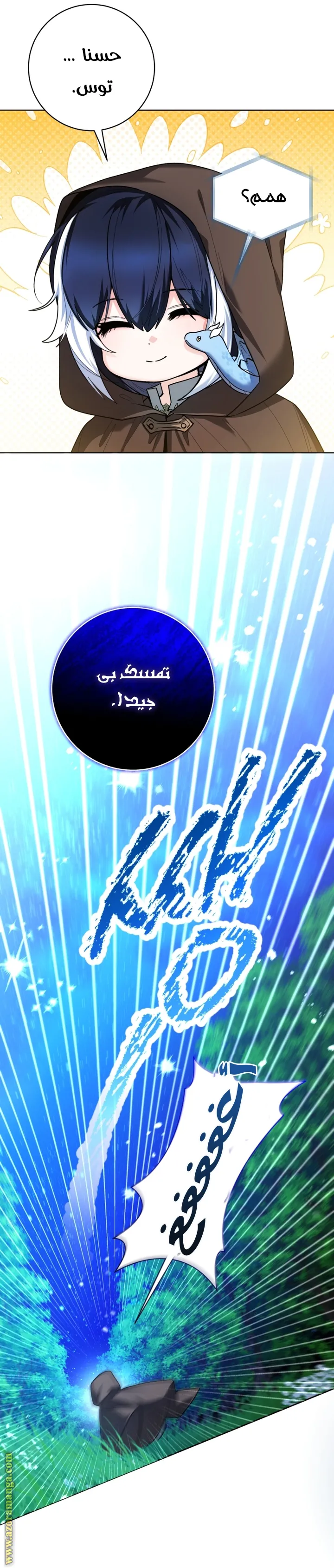 الصفحة 29