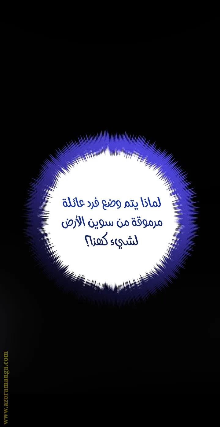 الصفحة 43