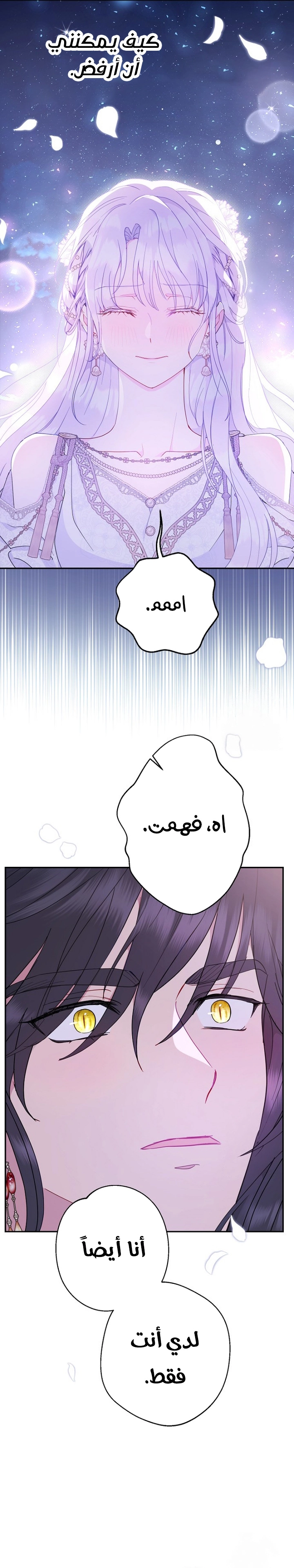 الصفحة 19